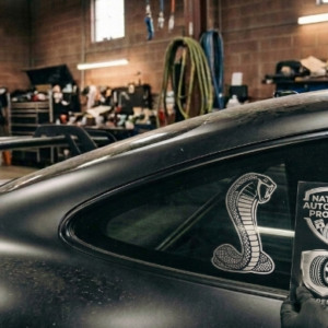 Signature "Venom" Icon – 6" White